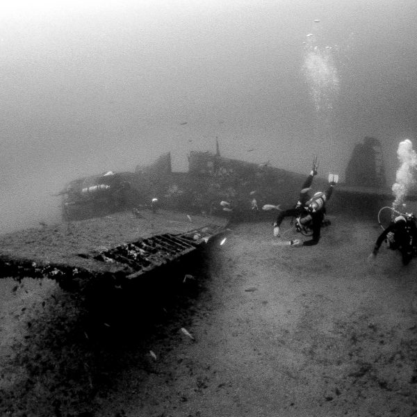 Looking for Lobster