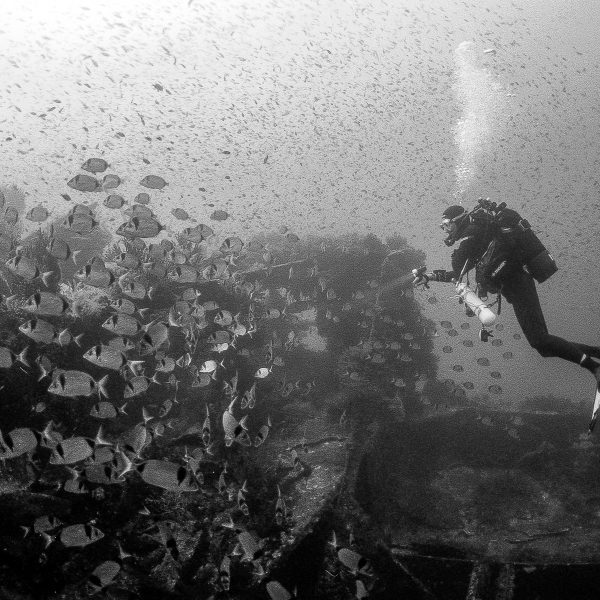 Exploration